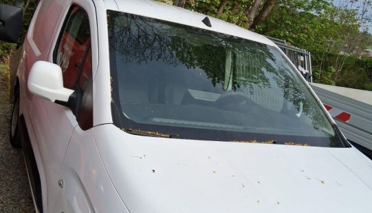 Ausschreibung für Opel Combo Cargo Edition 1.5 D